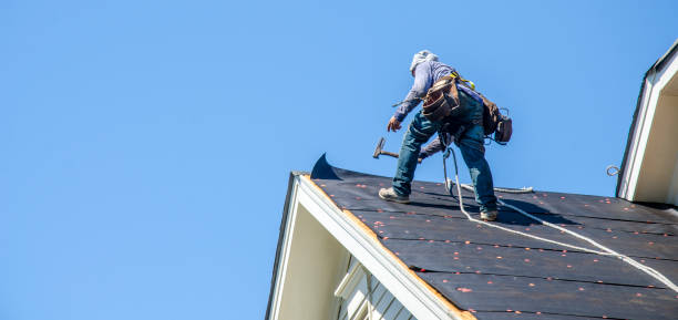 Best Residential Roofing Contractor  in Isle Of Hope, GA